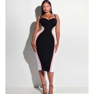 NWT TA3 Seamed Lushy Contour Midi Dress Black Rose White XS